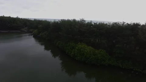 Lake on the coast of Yogyakarta, Central Java, Indonesia Stock Footage 217375737