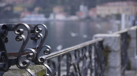 Lake Como Seagulls. Stock Footage 65151890