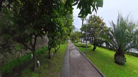 Lake Como Waterfront Park with Mountain Views and Tropical Gardens, Italy Vídeos de archivo 344763885