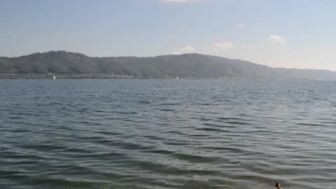 Lake Constance - Bodensee Stock Footage