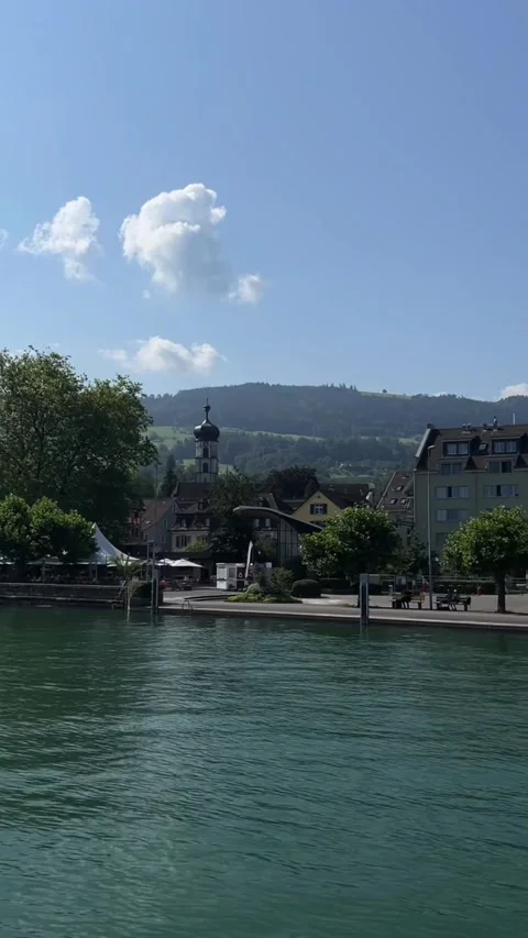 Lake Constance (Bodensee) Shoreline with Trees and Distant Hills Stock Footage 310934268