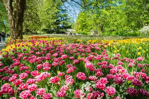 Lake Constance. Constance Germany Stock Photos