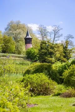 Lake Constance. Constance Germany Stock Photos