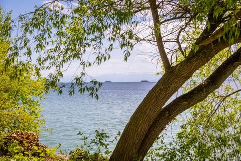 Lake Constance. Constance Germany Stock Photos