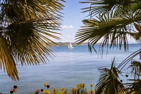 Lake Constance. Constance Germany Stock Photos