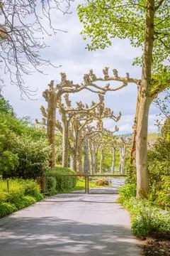 Lake Constance. Constance Germany Stock Photos