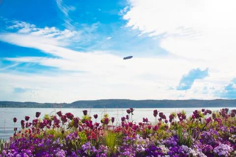 Lake Constance in spring Stock Photos