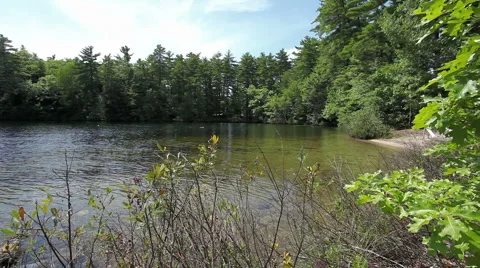 Lake cove Stock Footage 955471