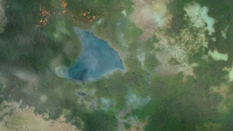 Lake covered with colorful algae Stock Footage 168553225
