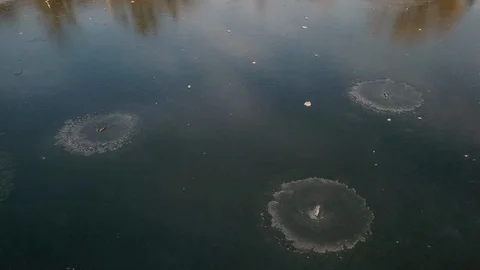 The lake is covered with thin ice in winter. Natural landscape with frozen water Видео 121125612