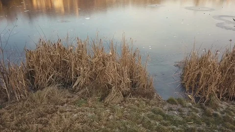 The lake is covered with thin ice in winter Stock Footage 121125989