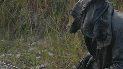 Lake creature drinking from lagoon Stock Footage 209670540