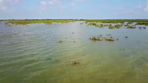 Lake in the Danube Delta , Romania Video stock 80629199