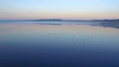 Lake at dawn in summer Stock Footage 100268683