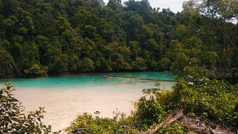 Lake in deep jungle Stock Photos