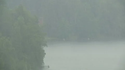 Lake with dense forest Stock Footage 10788757