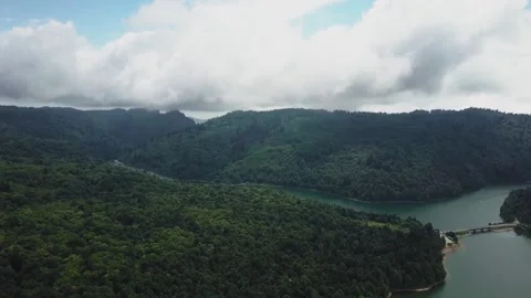 Lake In A Dense Forest Stock Footage 146447839