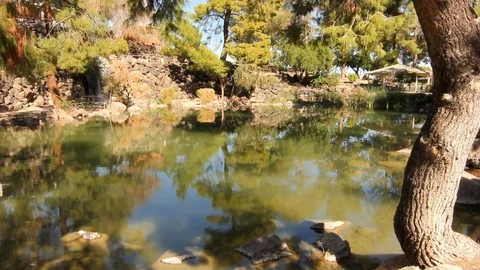 Lake in the Desert Stock-Footage 99671982