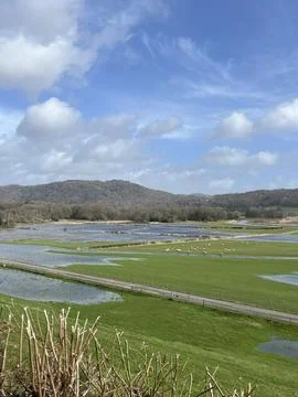 Lake District Flooded Fields 库存照片