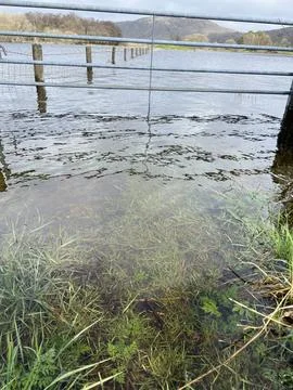 Lake District Flooded Fields Foto stock