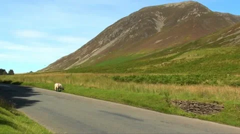 Lake district Stock Footage 11879400