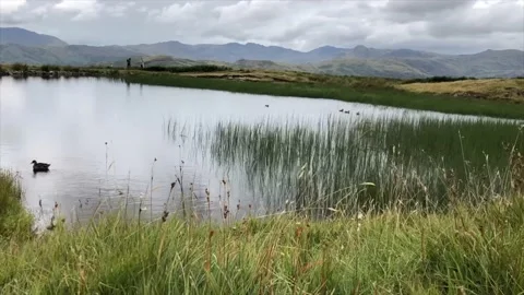 Lake District Tarn Timelapse Stock Footage 150251313