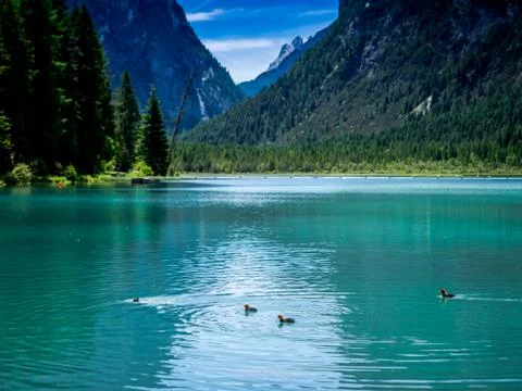 Lake of Dobbiaco Stock Photos