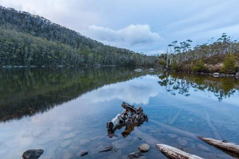 Lake Dobson surrounded by native vegetation. Mount Field National Park, Tasma Stock Photos