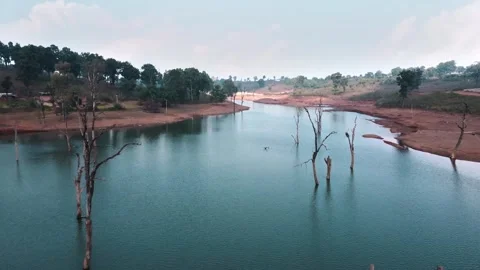 Lake with dried trees Stock-Footage 330943220