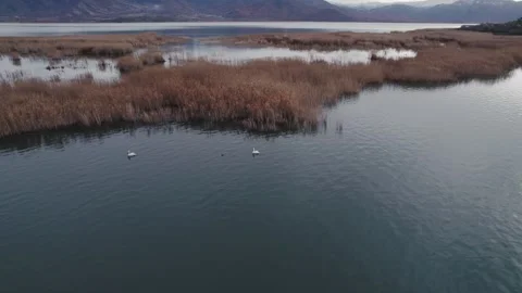Lake, drone footage Stock Footage 285484180