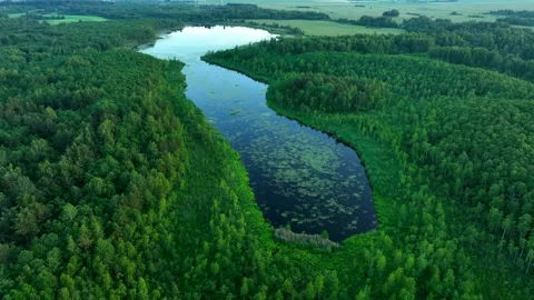 Lake, drone view in rural landscape. Freshwater Lakes. 動画素材 201288418
