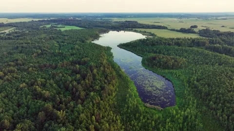 Lake, drone view in rural landscape. Freshwater Lakes. Video stock 201383532