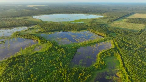 Lake, drone view in rural landscape. Freshwater Lakes. 스톡 동영상 201399183