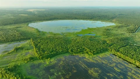 Lake, drone view in rural landscape. Freshwater Lakes. 動画素材 201404592