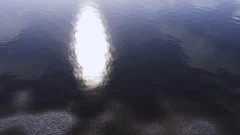 Lake Drying Timelapse Soil Cracking Stock Footage 120802989