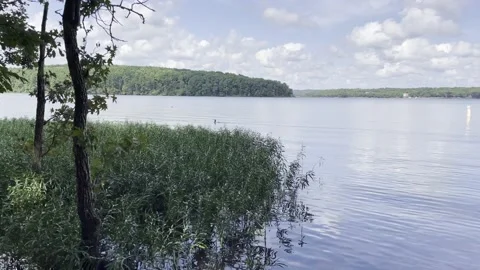 Lake with Duck Stock Footage 158883942