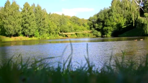 Lake with ducks 3 Video stock 141256765