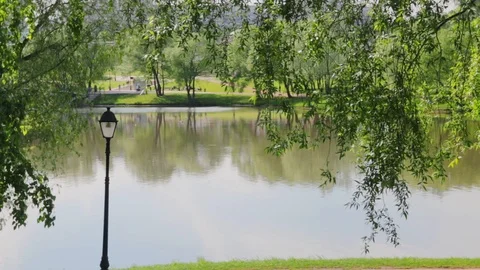 Lake with ducks in the city park Stock Footage 108187003