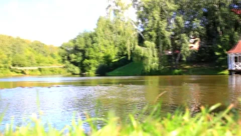 Lake with ducks Video stock 141256726