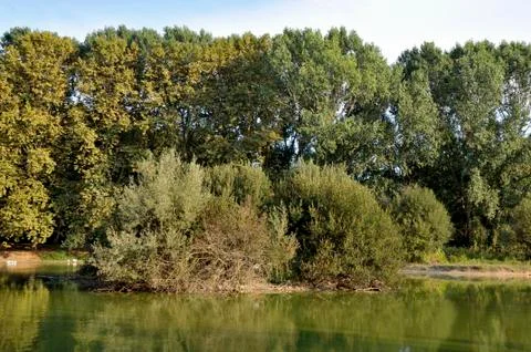 Lake of the ducks Stock Photos