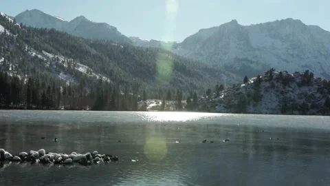 Lake with Ducks in Winter, Snow Covered Mountains and Lens Flare, Low Moving Fog Stock Footage 145455728