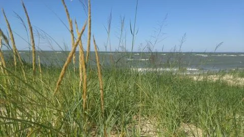 Lake Dunes 2 Stock Photos