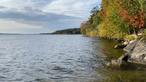 Lake during autumn. Stock Footage 256105985