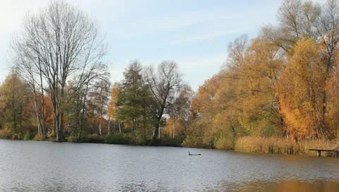 Lake during fall 스톡 동영상 10857639