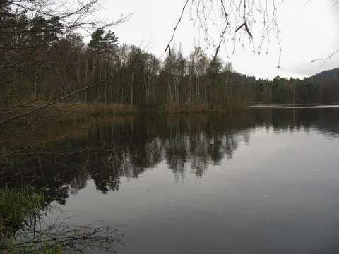 Lake during winter Stock Photos