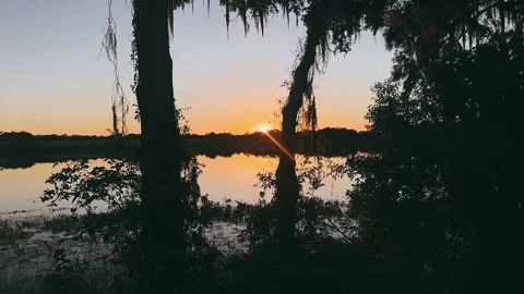 Lake at Dusk with Tree Silhouettes Stock Footage 295529277