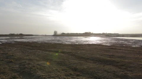 Lake in Dutch Delta 스톡 동영상 49157224