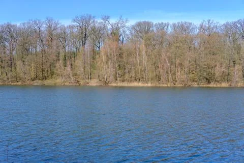 Lake in Early Spring Stock Photos