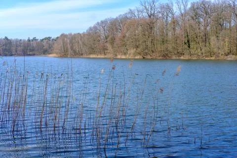 Lake in Early Spring Stock Photos