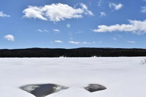 The lake in early spring Stock Photos
